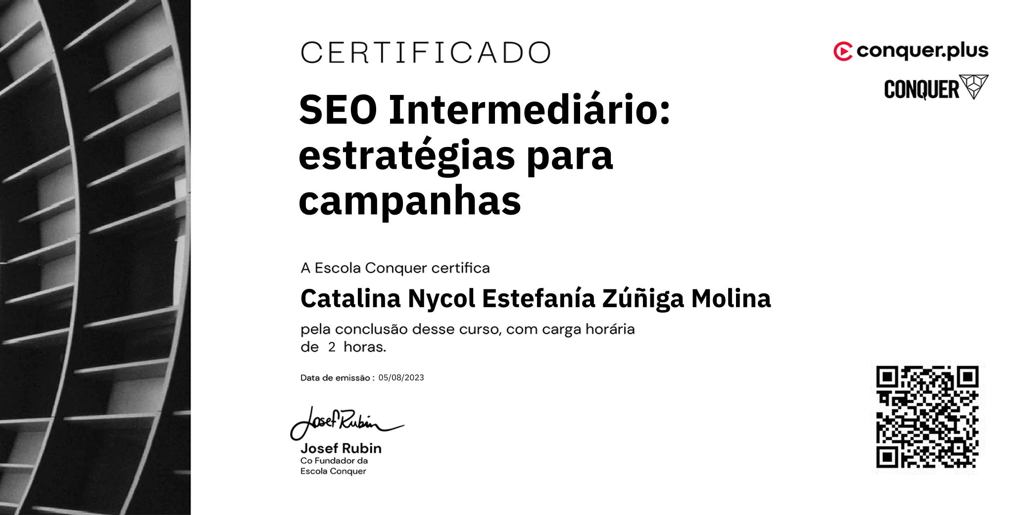 Certificado de SEO Intermediário: estratégias para campanhas